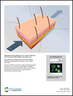 Graphical abstract: Inside back cover