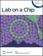 Graphical abstract: Inside front cover