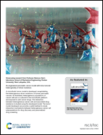 Graphical abstract: Back cover