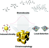 Graphical abstract: Chirality control of inorganic materials and metals by peptides or amino acids