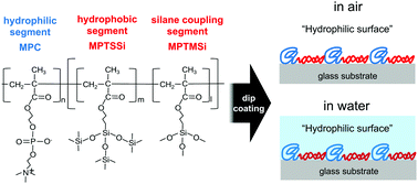 Graphical abstract: Hydrophilic surfaces from simple dip-coating method: amphiphilic block copolymers with zwitterionic group form antifouling coatings under atmospheric conditions