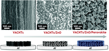 Graphical abstract: Electrodeposited ZnO nanoparticles on vertically aligned carbon nanotubes (VACNTs) as promising charge extracting electrodes for halide perovskite devices