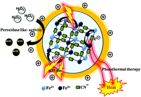 Graphical abstract: Peroxidase-like behavior and photothermal effect of chitosan-coated Prussian-blue nanoparticles: dual-modality antibacterial action with enhanced bioaffinity