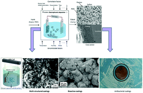 Graphical abstract: Ag and Mn-doped mesoporous bioactive glass nanoparticles incorporated into the chitosan/gelatin coatings deposited on PEEK/bioactive glass layers for favorable osteogenic differentiation and antibacterial activity