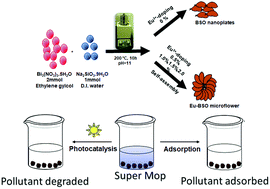 Graphical abstract: Defect induced “super mop” like behaviour of Eu3+-doped hierarchical Bi2SiO5 nanoparticles for improved catalytic and adsorptive behaviour
