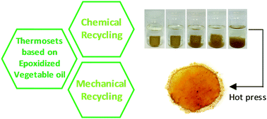 Graphical abstract: Building thermally and chemically reversible covalent bonds in vegetable oil based epoxy thermosets. Influence of epoxy–hardener ratio in promoting recyclability
