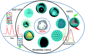 Graphical abstract: Designing and controlling the morphology of spherical molecularly imprinted polymers
