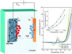Graphical abstract: High intrinsic activity of the oxygen evolution reaction in low-cost NiO nanowall electrocatalysts