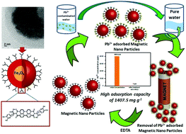 Graphical abstract: Bio-inspired perylene diimide coated super paramagnetic nanoparticles for the effective and efficient removal of lead(ii) from aqueous medium