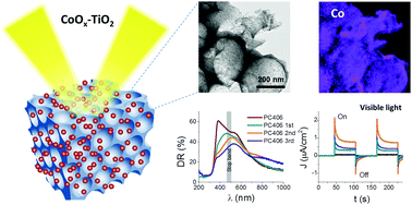 Graphical abstract: Boosting visible light harvesting and charge separation in surface modified TiO2 photonic crystal catalysts with CoOx nanoclusters