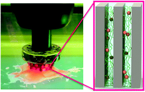 Graphical abstract: Synergistic single process additive manufacturing of hydro-responsive Ag nanoparticle composites by digital visible light processing 3D printing
