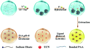 Graphical abstract: Green synthesis of upconversion nanocrystals by adjusting local precursor supersaturation under aqueous conditions