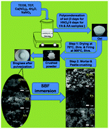 Graphical abstract: Variation of the properties of sol–gel synthesized bioactive glass 45S5 in organic and inorganic acid catalysts