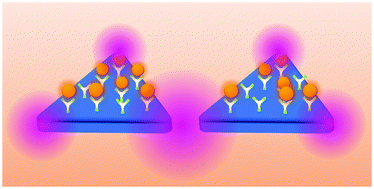 Graphical abstract: Plasmonic triangular nanoprism sensors