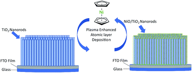 Graphical abstract: Atomic scale surface modification of TiO2 3D nano-arrays: plasma enhanced atomic layer deposition of NiO for photocatalysis