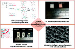 Graphical abstract: Enzyme degradable star polymethacrylate/silica hybrid inks for 3D printing of tissue scaffolds