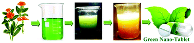 Graphical abstract: Green synthesis of Zn-doped Catharanthus Roseus nanoparticles for enhanced anti-diabetic activity