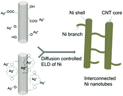 Graphical abstract: [24]Crown-8-modified carbon nanotubes for templating metal deposition and active materials for pseudocapacitors