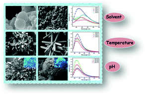 Graphical abstract: Investigating the formation of diverse ZnO nanostructures based on solvent, temperature, and pH as adjustable parameters