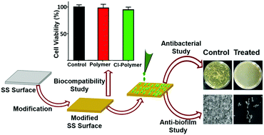 Graphical abstract: Durable polymeric N-halamine functionalized stainless steel surface for improved antibacterial and anti-biofilm activity