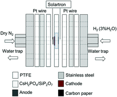 Graphical abstract: Ammonia synthesis using Fe/BZY–RuO2 catalysts and a caesium dihydrogen phosphate-based electrolyte at intermediate temperatures
