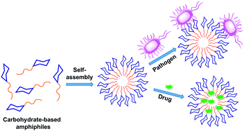 Graphical abstract: Self-assembly of carbohydrate-based small amphiphiles and their applications in pathogen inhibition and drug delivery: a review