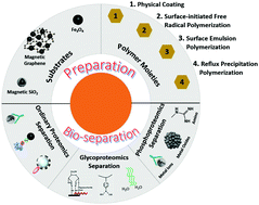 Graphical abstract: Magnetic polymer nanomaterials for sample pretreatment in proteomics