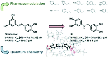 Graphical abstract: Synthesis, evaluation and molecular modelling of piceatannol analogues as arginase inhibitors