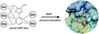 Graphical abstract: Protein–fragment complex structures derived by NMR molecular replacement