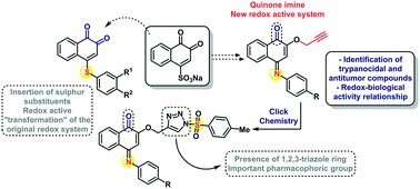 Graphical abstract: Synthesis of quinone imine and sulphur-containing compounds with antitumor and trypanocidal activities: redox and biological implications