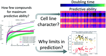 Graphical abstract: Active learning effectively identifies a minimal set of maximally informative and asymptotically performant cytotoxic structure–activity patterns in NCI-60 cell lines