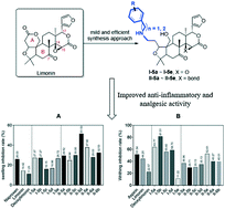 Graphical abstract: A practical synthesis of amino limonin/deoxylimonin derivatives as effective mitigators against inflammation and nociception