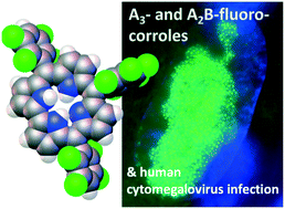 Graphical abstract: A3- and A2B-fluorocorroles: synthesis, X-ray characterization and antiviral activity evaluation against human cytomegalovirus infection