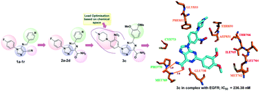 Graphical abstract: Anticancer potential of some imidazole and fused imidazole derivatives: exploring the mechanism via epidermal growth factor receptor (EGFR) inhibition