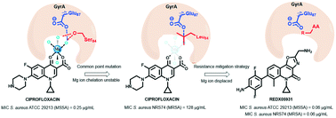 Graphical abstract: Rational design, synthesis and testing of novel tricyclic topoisomerase inhibitors for the treatment of bacterial infections part 1