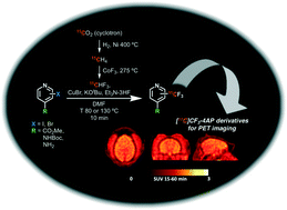 Graphical abstract: Syntheses of [11C]2- and [11C]3-trifluoromethyl-4-aminopyridine: potential PET radioligands for demyelinating diseases