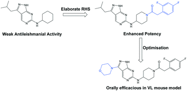 Graphical abstract: Identification of 6-amino-1H-pyrazolo[3,4-d]pyrimidines with in vivo efficacy against visceral leishmaniasis