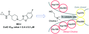 Graphical abstract: A benzoxazole derivative as an inhibitor of anaerobic choline metabolism by human gut microbiota