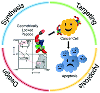 Graphical abstract: Peptide-based delivery vectors with pre-defined geometrical locks