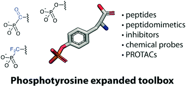 Graphical abstract: Recent advances in synthetic and medicinal chemistry of phosphotyrosine and phosphonate-based phosphotyrosine analogues