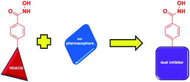 Graphical abstract: Shifting the paradigm in treating multi-factorial diseases: polypharmacological co-inhibitors of HDAC6