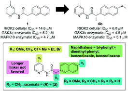 Graphical abstract: Towards a RIOK2 chemical probe: cellular potency improvement of a selective 2-(acylamino)pyridine series