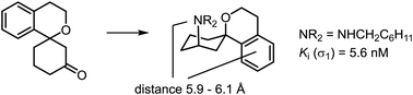 Graphical abstract: Synthesis and σ receptor affinity of spiro[[2]benzopyran-1,1′-cyclohexanes] with an exocyclic amino moiety in the 3′-position