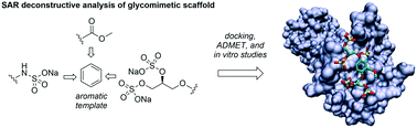 Graphical abstract: The modulatory role of sulfated and non-sulfated small molecule heparan sulfate-glycomimetics in endothelial dysfunction: absolute structural clarification, molecular docking and simulated dynamics, SAR analyses and ADMET studies