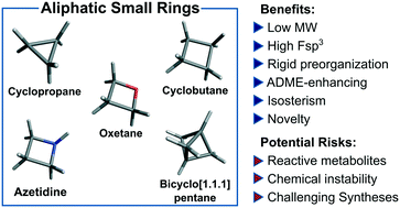 Graphical abstract: Put a ring on it: application of small aliphatic rings in medicinal chemistry