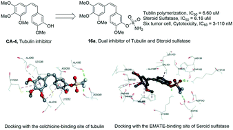 Graphical abstract: Design, synthesis and biological evaluation of combretastatin A-4 sulfamate derivatives as potential anti-cancer agents