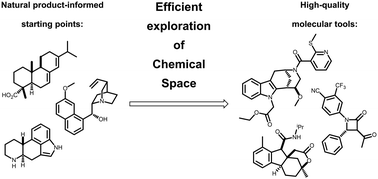 Graphical abstract: Natural product-informed exploration of chemical space to enable bioactive molecular discovery