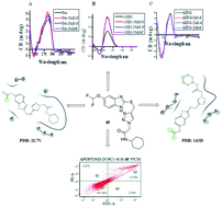 Graphical abstract: Benzimidazole-1,2,3-triazole hybrid molecules: synthesis and study of their interaction with G-quadruplex DNA