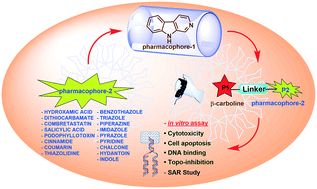 Graphical abstract: β-Carboline-based molecular hybrids as anticancer agents: a brief sketch