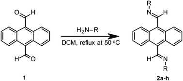 Graphical abstract: Synthesis and evaluation of bis(imino)anthracene derivatives as G-quadruplex ligands